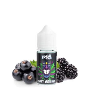 Arôme Cozy Berrie 30ml - Tribal Force