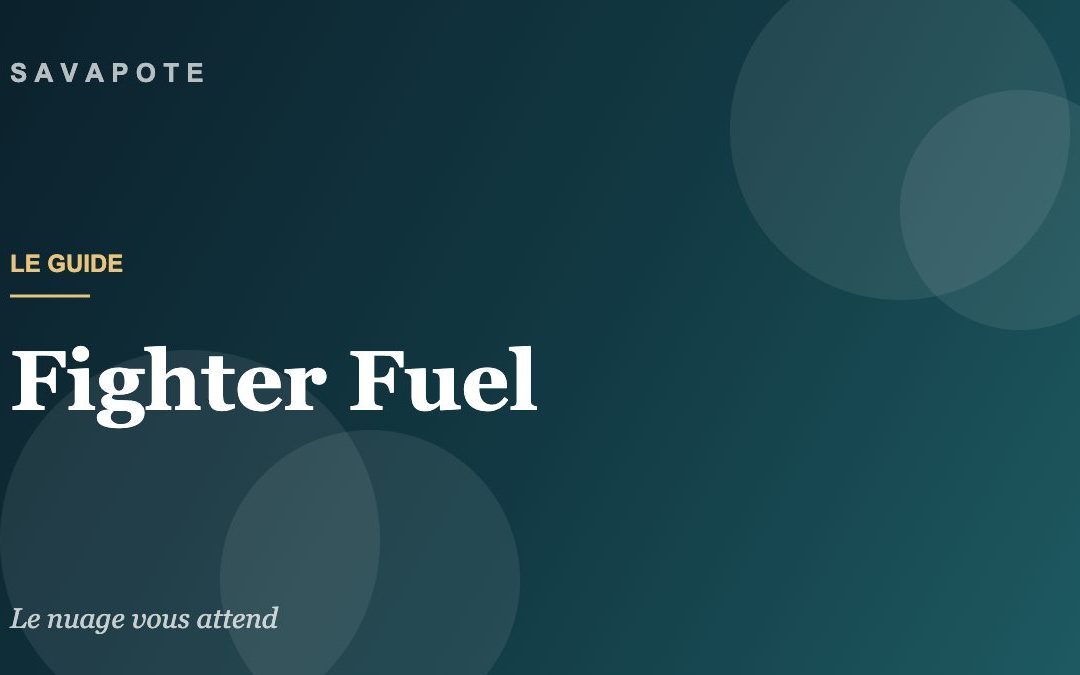 Guide SAVAPOTE — Fighter Fuel