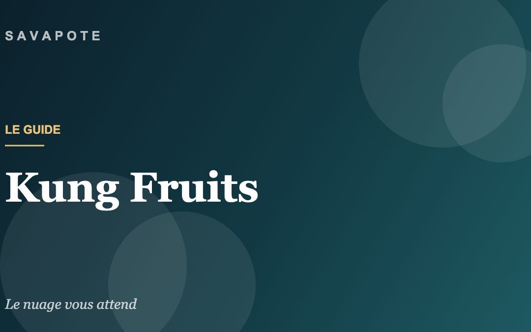 Guide SAVAPOTE — Kung Fruits
